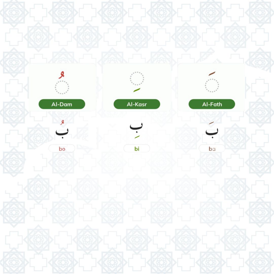 Quran with Tajweed markings